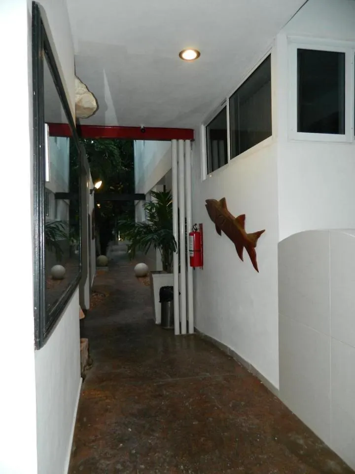Calido Estudio Con Ac,Wifi,Alberca, Auto Check-In #14 Merida
